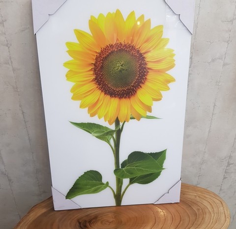 해바라기 아크릴 목재 액자